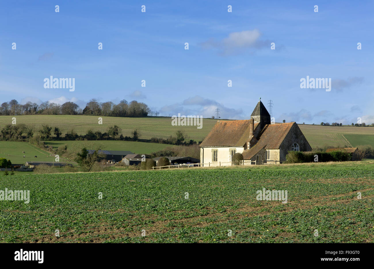 Voir l'église de St Hubert Idsworth jeune sur un champ de choux. Les South downs derrière avec bleu ciel d'hiver. Banque D'Images