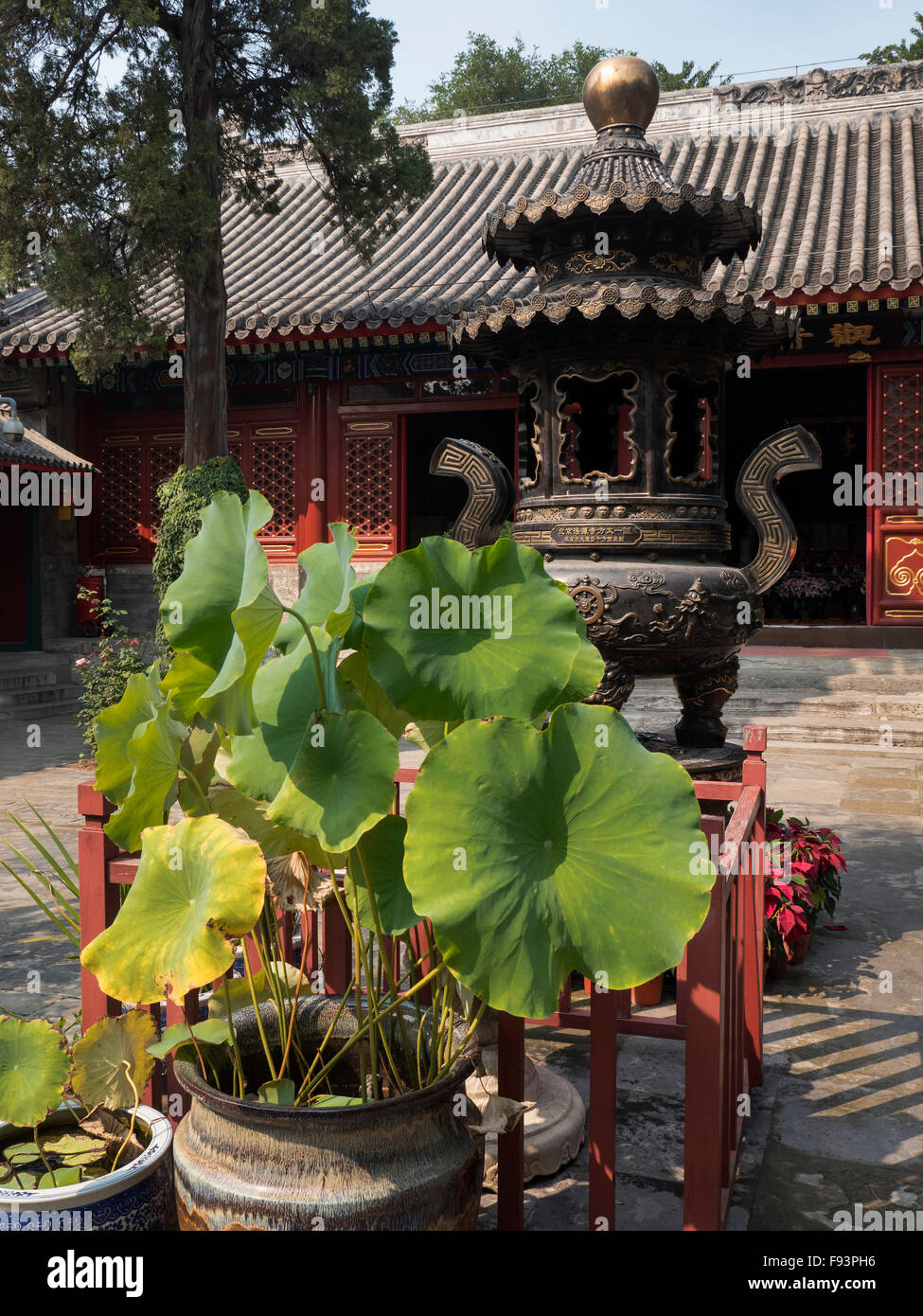 Si temple Fayuan buddhistic, Beijing, China, Asia Banque D'Images