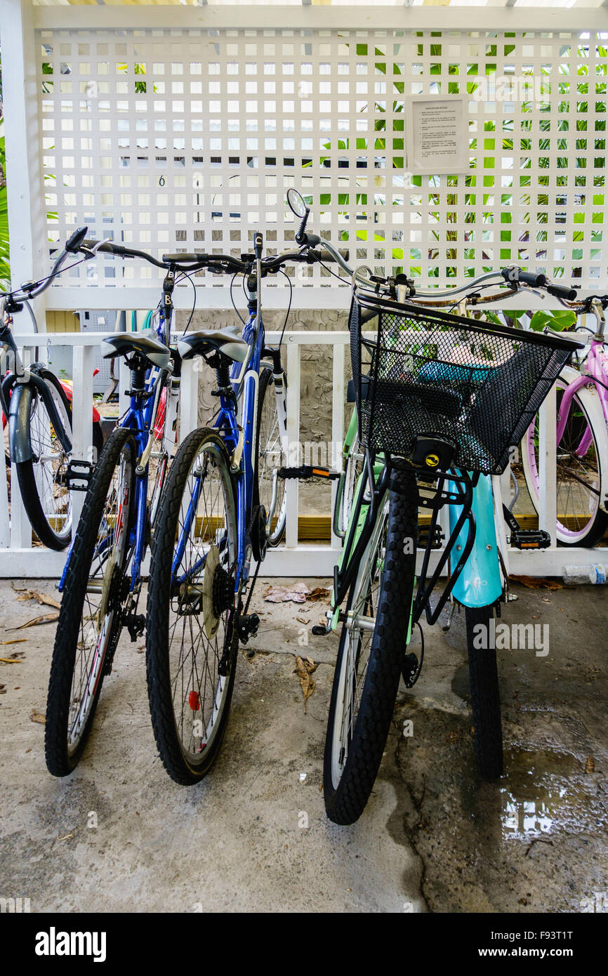 Des vélos à un beach resort, à Sainte-Croix, les Îles Vierges des États-Unis, en libre utilisation par les clients. Banque D'Images