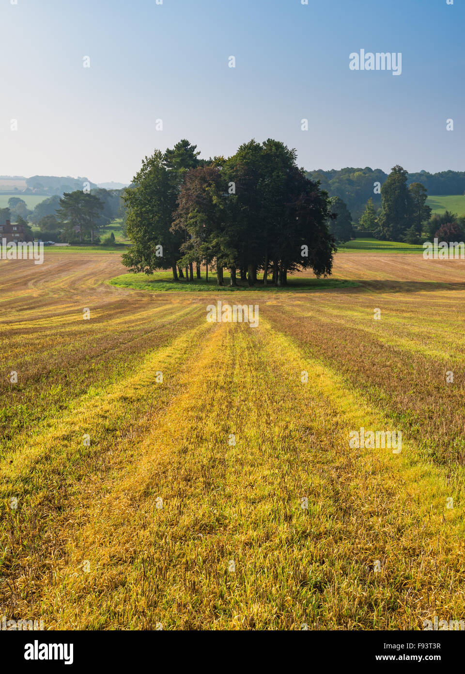 Vue sur le Kent Downs AONB, regard vers Swarling Manor, Petham, Kent. Banque D'Images