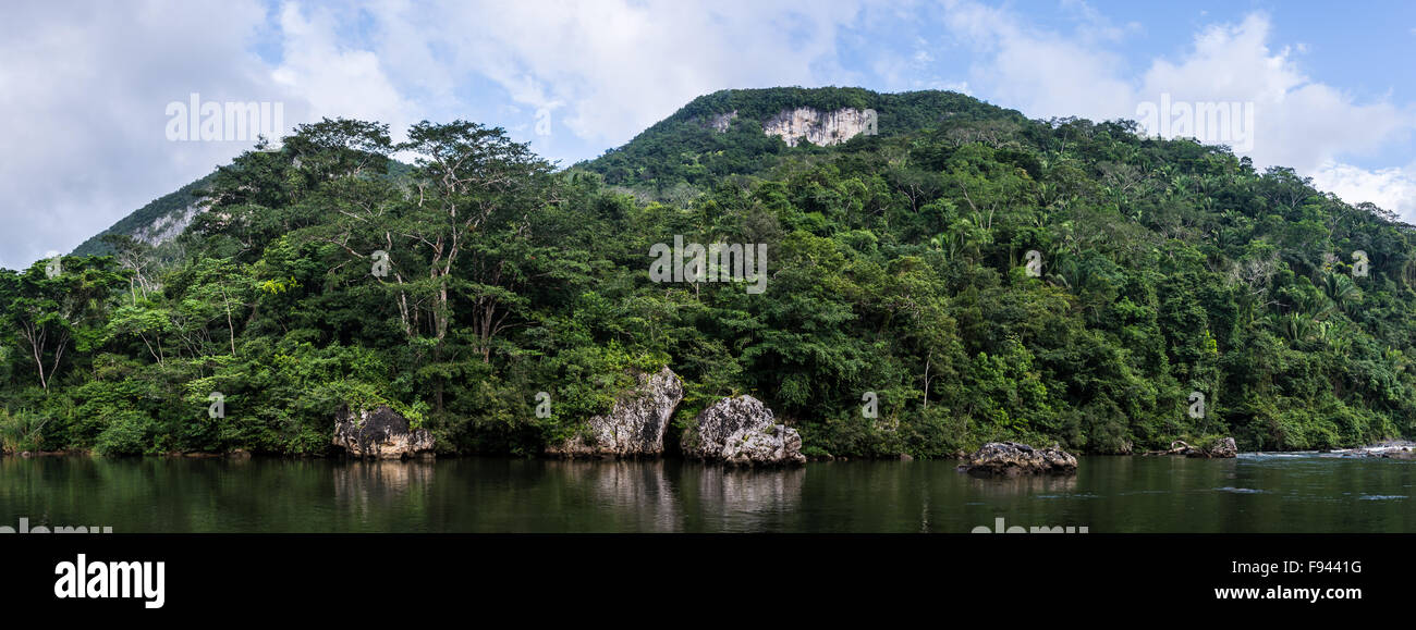 Calcaire couvertes par la forêt tropicale le long de la rivière Macal. Le Belize. Banque D'Images