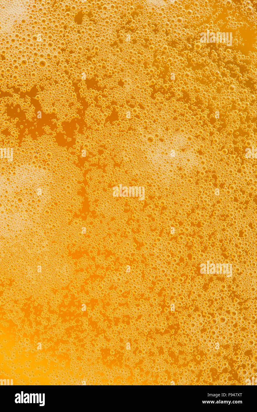 mousse de la bière Banque D'Images