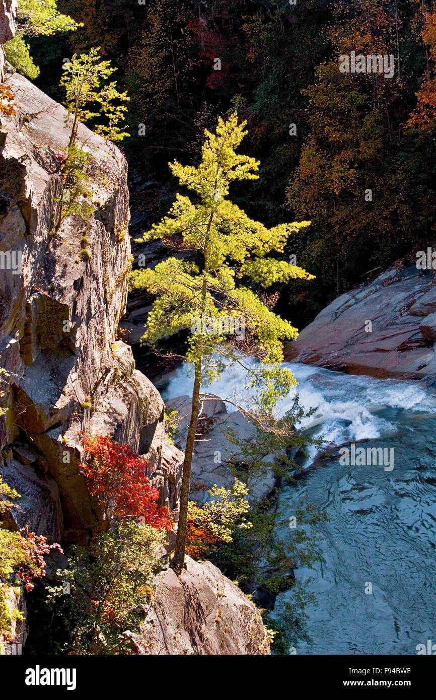 L'eau se précipite sur une chute au parc national des Gorges de Tallulah dans la Géorgie du nord Banque D'Images