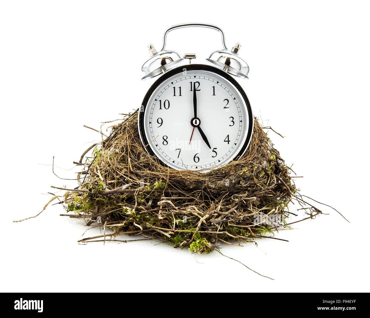 Véritable nid vide avec horloge sur fond blanc Banque D'Images