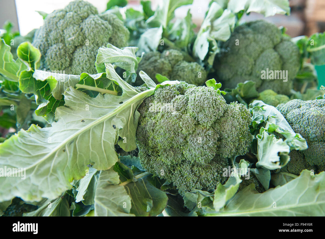 Pâtes Aux Brocolis à La Sicilienne Brocoli sicilien Banque de photographies et d'images à haute résolution -  Alamy
