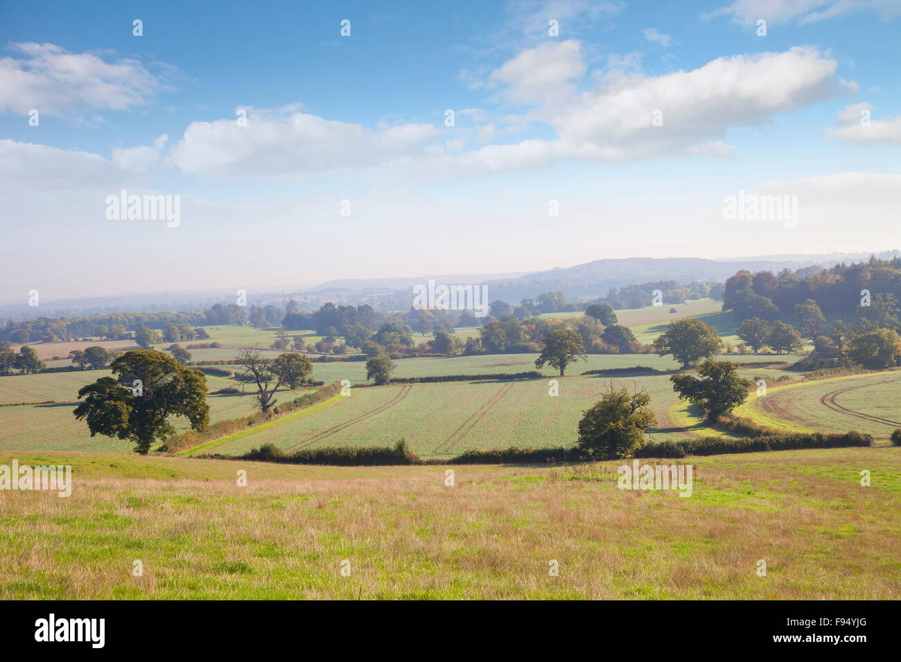 Voir plus de Ragley Estate, Warwickshire, en Angleterre. Banque D'Images