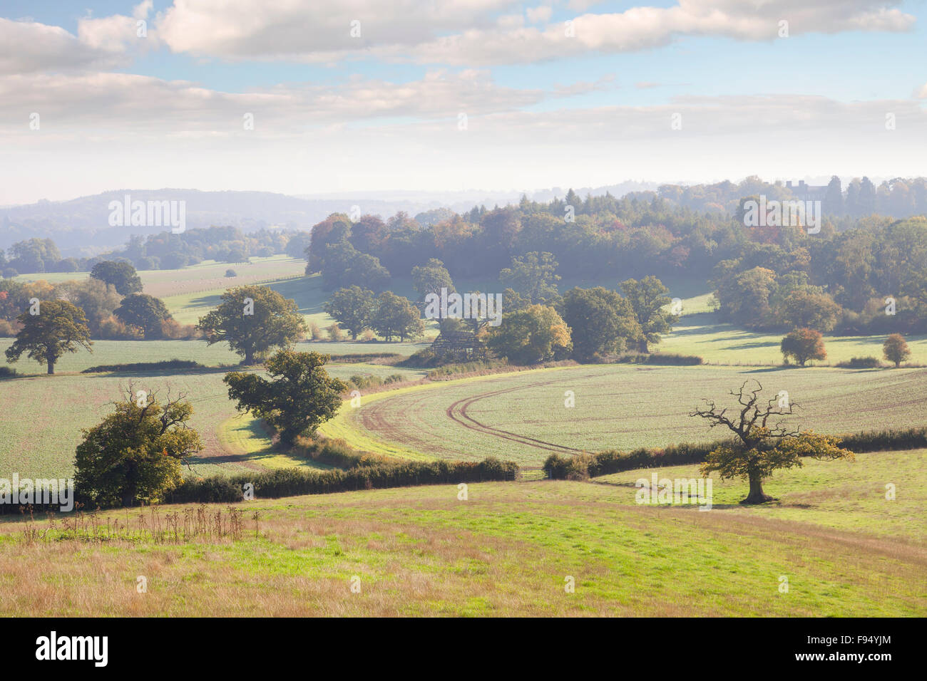 Voir plus de Ragley Estate, Warwickshire, en Angleterre. Banque D'Images