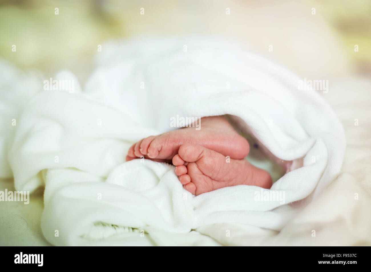 Détail de bébé nouveau-né fille dormir les pieds Banque D'Images