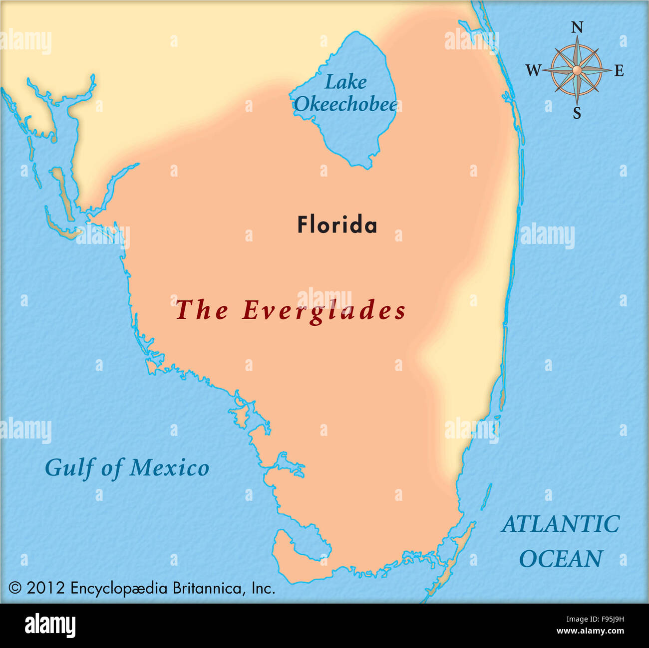Les Everglades Banque D'Images