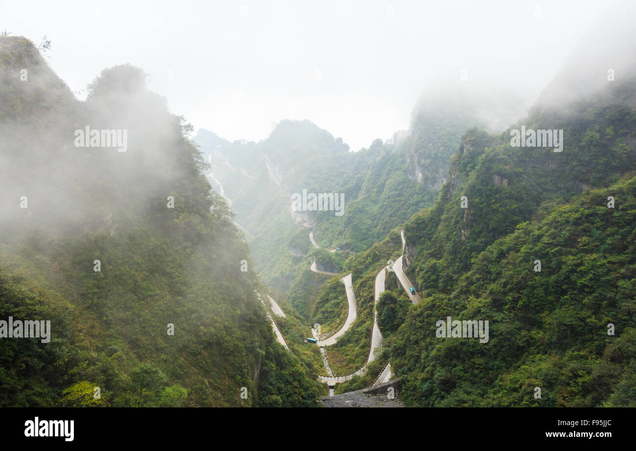 Parc national de Zhangjiajie ( tian zhi shan ) ( Tianzi Mountain ) et le brouillard , Chine Banque D'Images