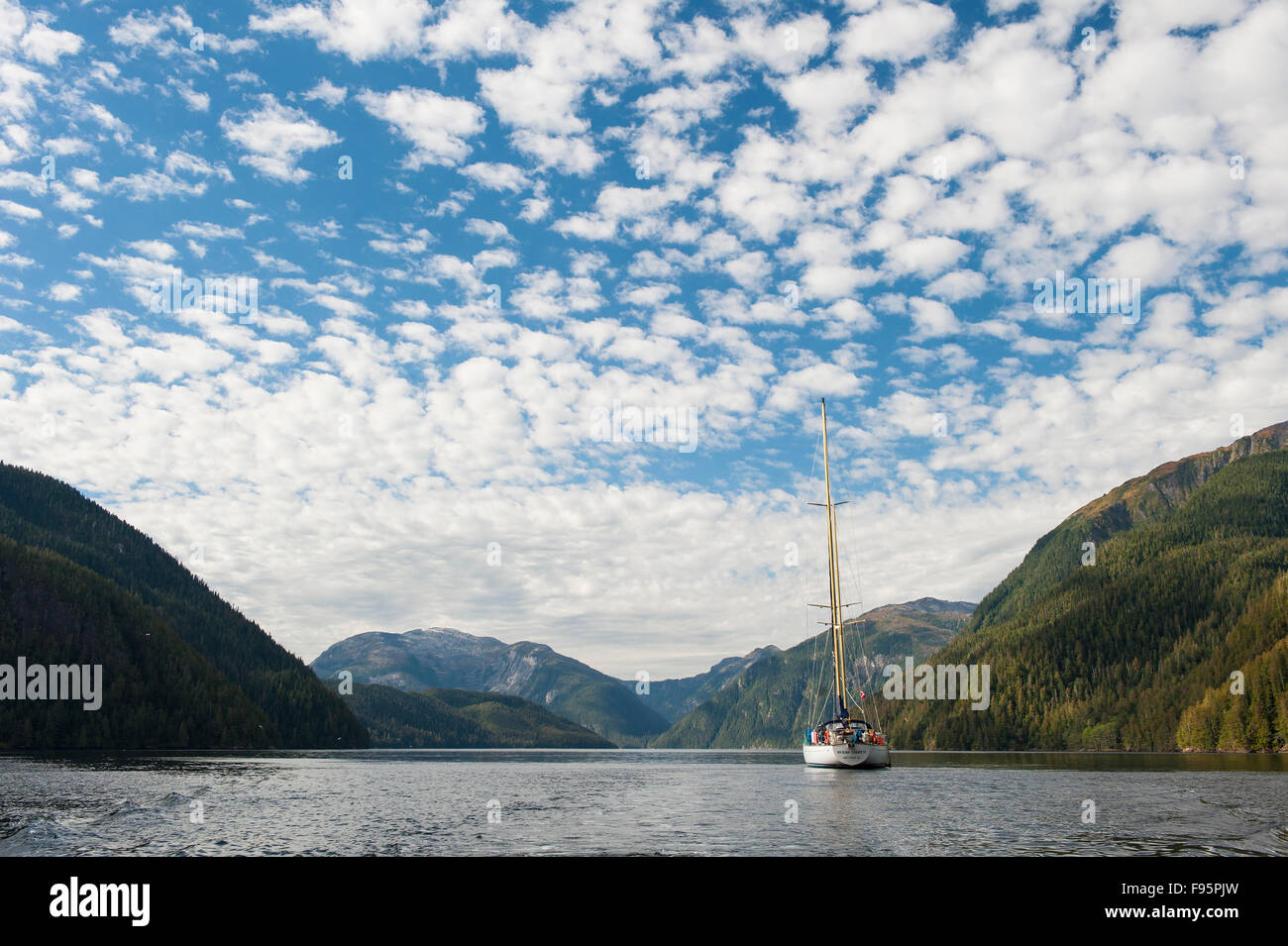 Voilier, Ocean 71, côte de la Colombie-Britannique Banque D'Images