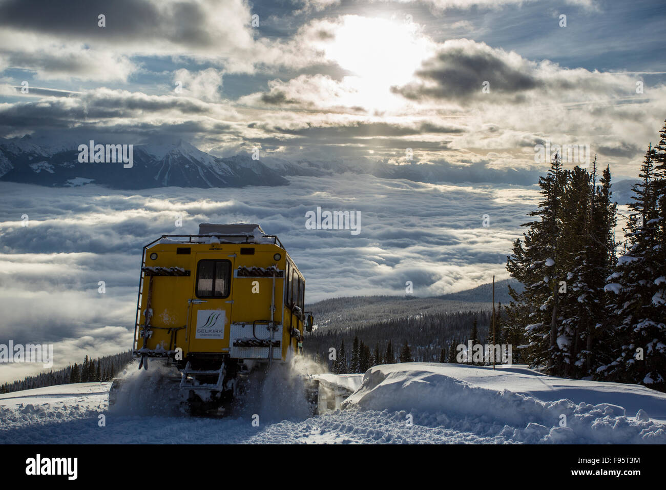 Cat Skiing, chenillette, meadow mountain, selkirk, Meadow Creek, Colombie-Britannique, Canada, Selkirk, ski sauvage Banque D'Images