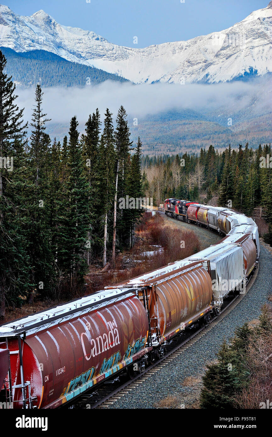 Un train de marchandises du Canadien National, voyageant à l'ouest vers les sommets enneigés des montagnes Rocheuses de l'Alberta Canada Banque D'Images