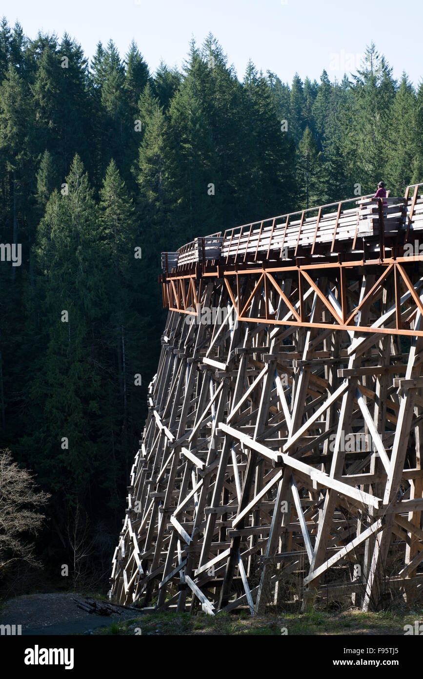 Achevé en 1920 et rénové en 2011, le pont sur chevalets Kinsol sur l'île de Vancouver atteint 44 mètres à son point le plus haut. Banque D'Images