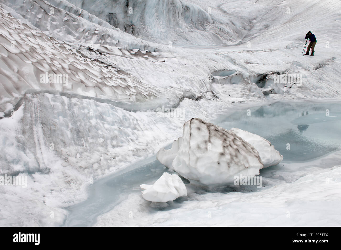 Glacier Athabasca détail, champ de glace Columbia, Jasper National Park, Alberta, Canada Banque D'Images