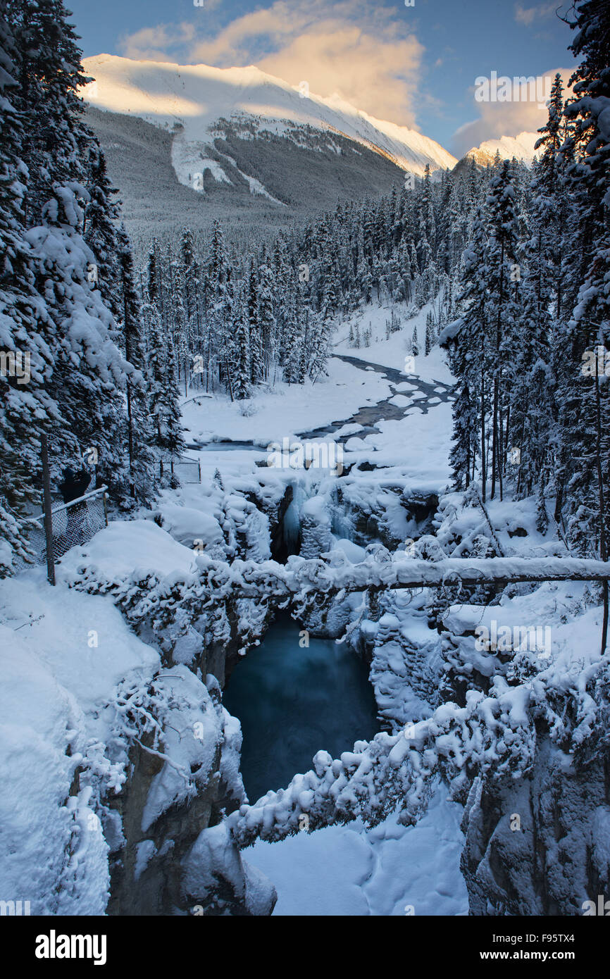 Sur les chutes Sunwapta, rivière Sunwapta, Jasper National Park, Alberta, Canada Banque D'Images