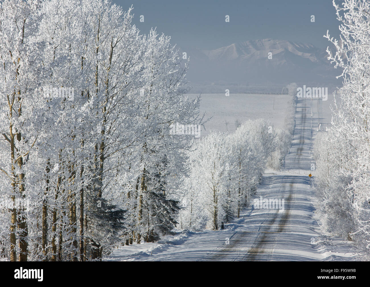 Route de campagne en hiver près de Cochrane, Alberta, Canada Banque D'Images