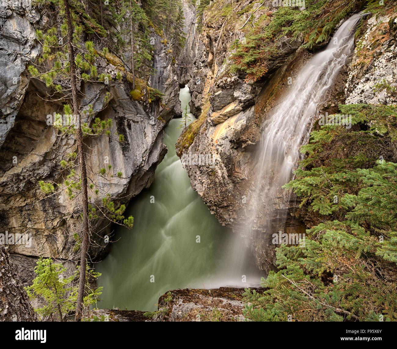 Cline River Canyon, Bighorn Wildlands, Alberta, Canada Banque D'Images