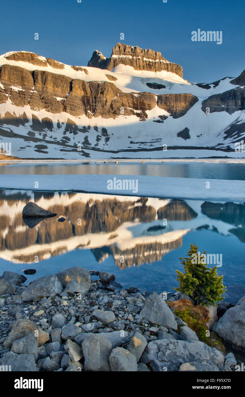 Lac de la cataracte, Upper Canyon Brazeau, Jasper National Park, Alberta, Canada Banque D'Images