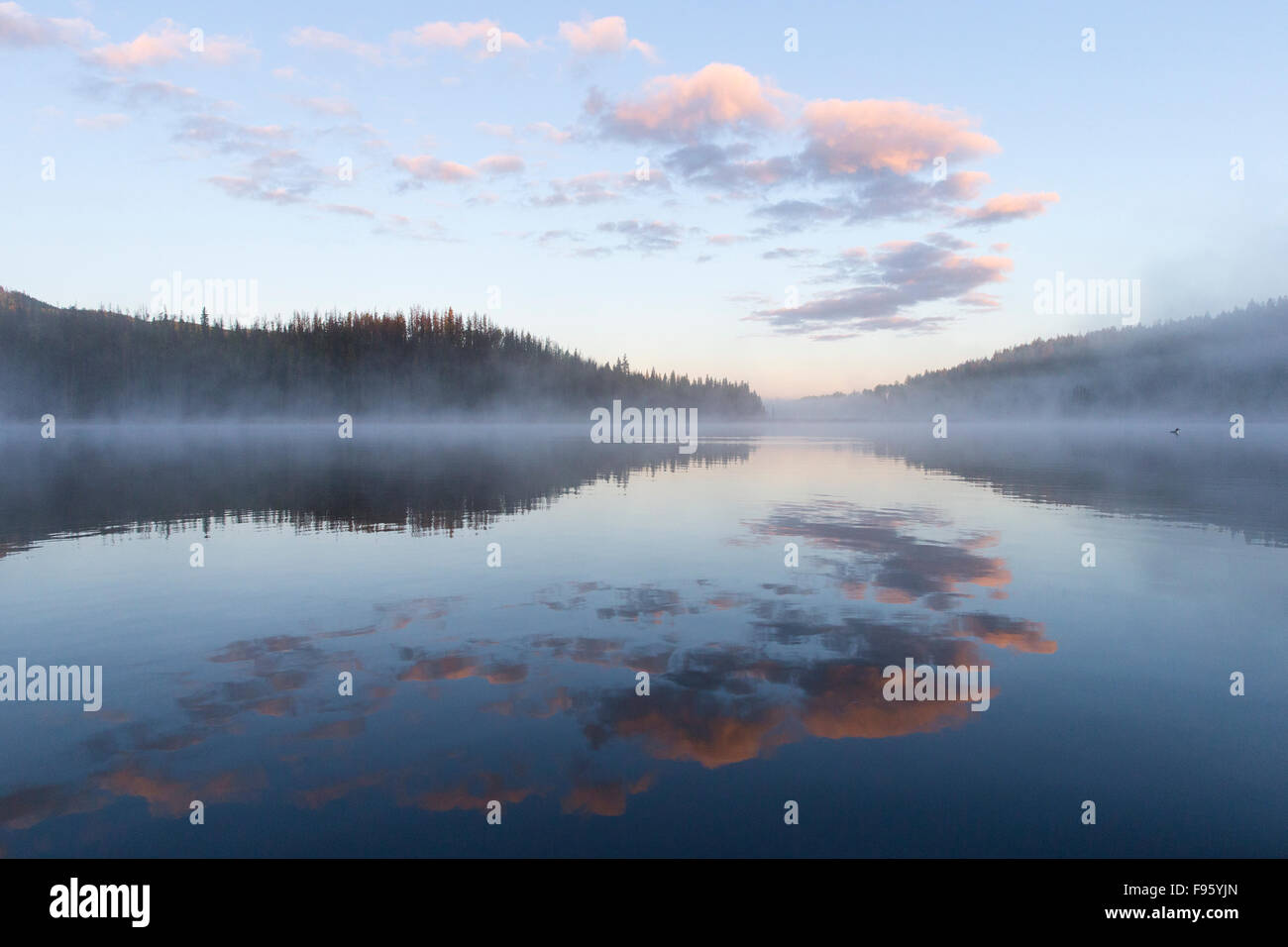 Tôt le matin sur le lac Le Jeune, en Colombie-Britannique. Banque D'Images