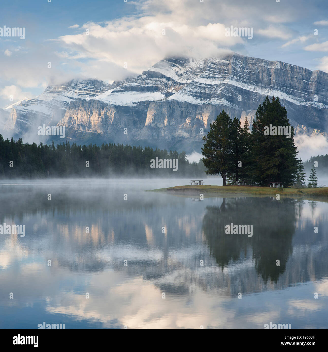 Deux Jack Lake Shore détail, Banff National Park, Alberta, Canada Banque D'Images