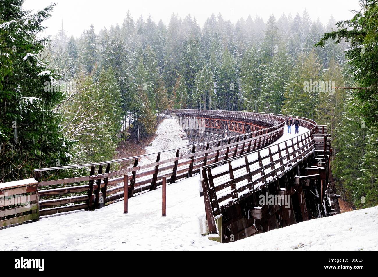Quelques promenades dans la neige sur le pont sur chevalets Kinsol près de Shawnigan Lake, BC. Banque D'Images