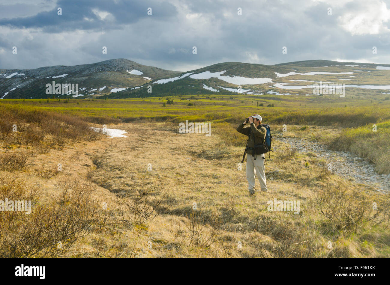 Les analyses d'un chasseur à l'horizon de jeu dans le caribou du nord-est de la Colombie-Britannique Banque D'Images