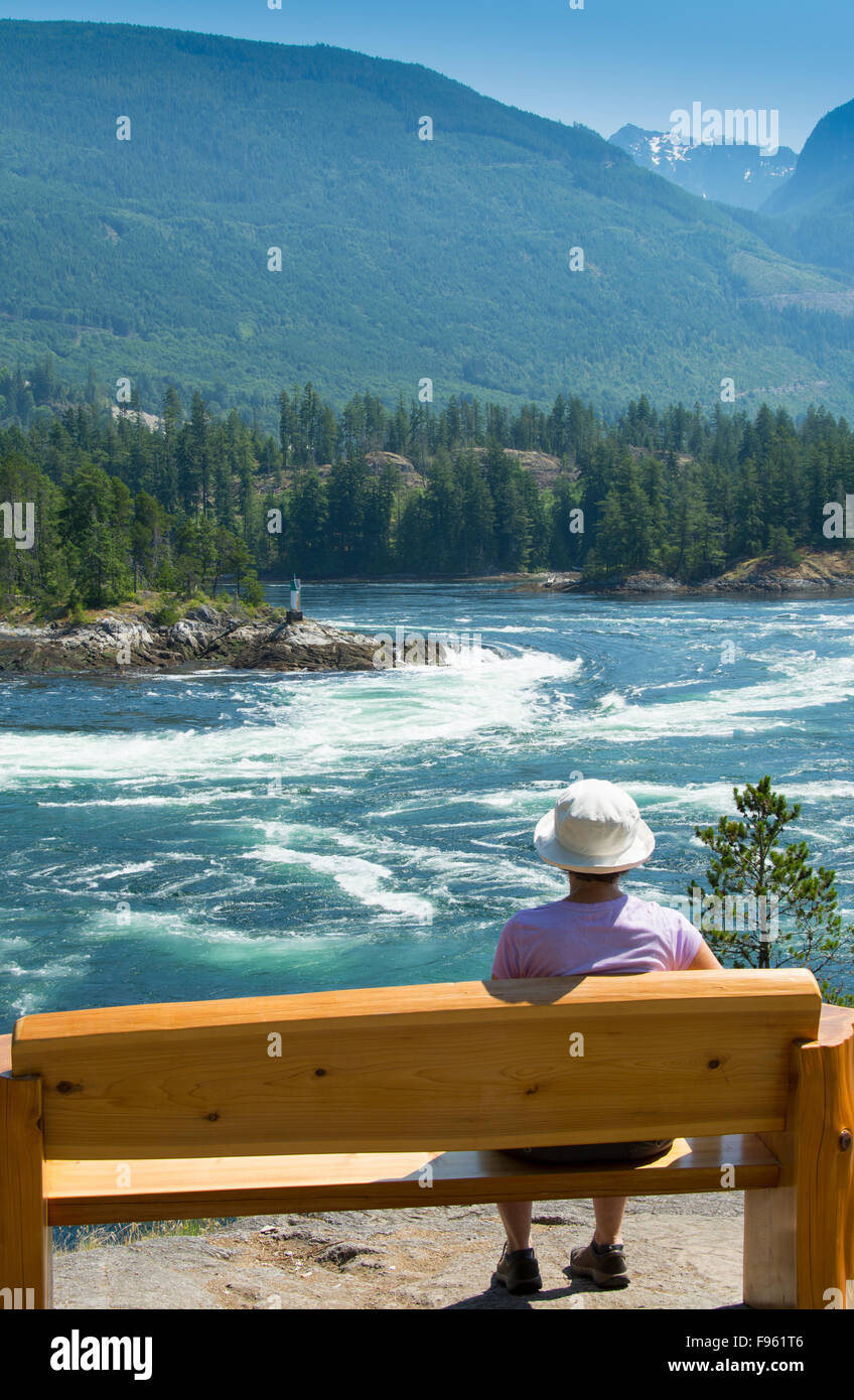 Skookumchuck Narrows, jusant Sechelt Inlet, Sunshine Coast, British Columbia, Canada Banque D'Images