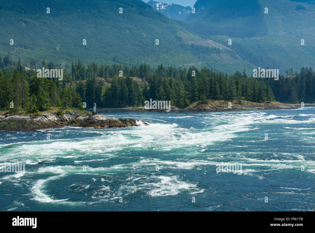 Skookumchuck Narrows, jusant Sechelt Inlet, Sunshine Coast, British Columbia, Canada Banque D'Images