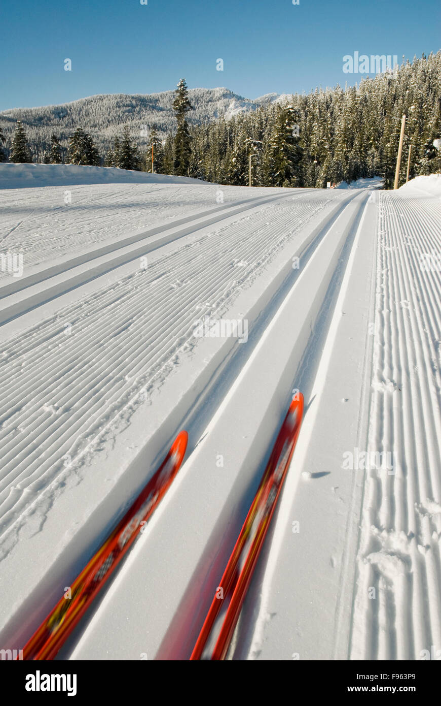 Les pistes parfaitement damées sont au Parc olympique de Whistler, près de Whistler, BC Canada Banque D'Images