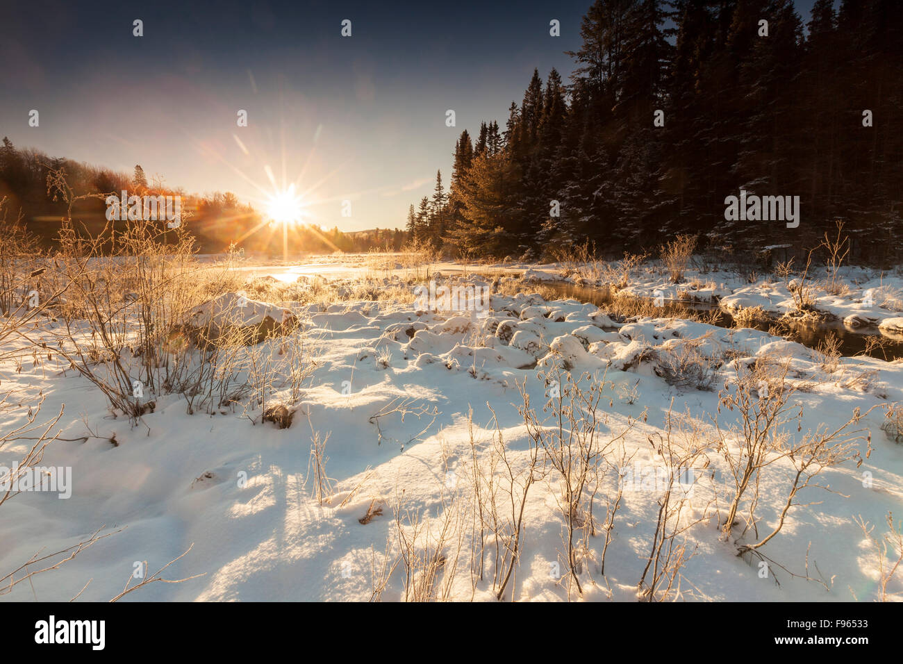Soleil d'hiver qui s'élève au-dessus de Costello Creek, Algonquin Provincial Park, Ontario, Canada Banque D'Images