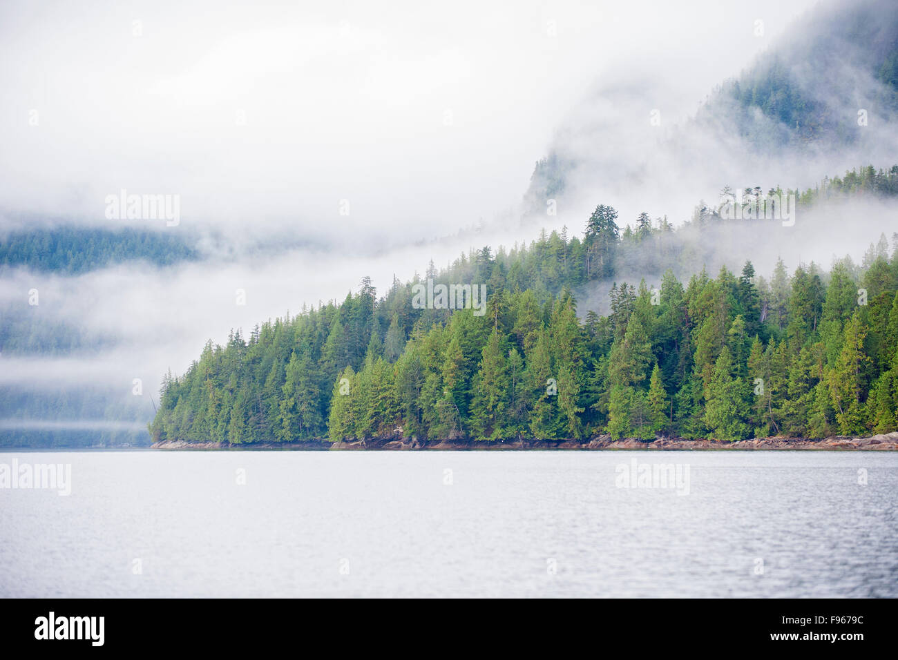 La forêt pluviale de Great Bear, centre-ouest de la côte de la Colombie-Britannique, Canada Banque D'Images