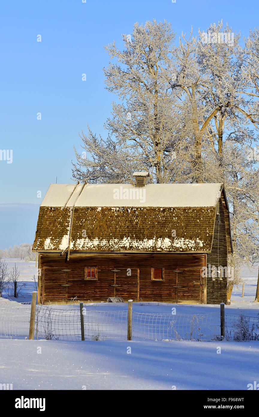 Une image paysage vertical d'une grange abandonnée sur un morceau de terre agricole dans les régions rurales de l'Alberta Canada avec la chaleur du soleil Banque D'Images