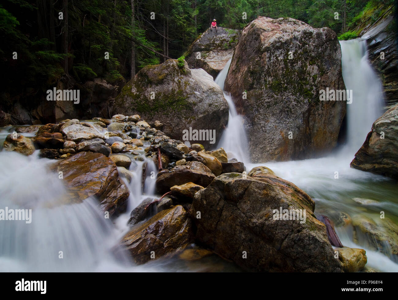 Randonneur est situé au sommet d'un rocher surplombant Sicamous Creek Falls, Sicamous, dans la région de Shuswap de la Colombie-Britannique, Canada Banque D'Images