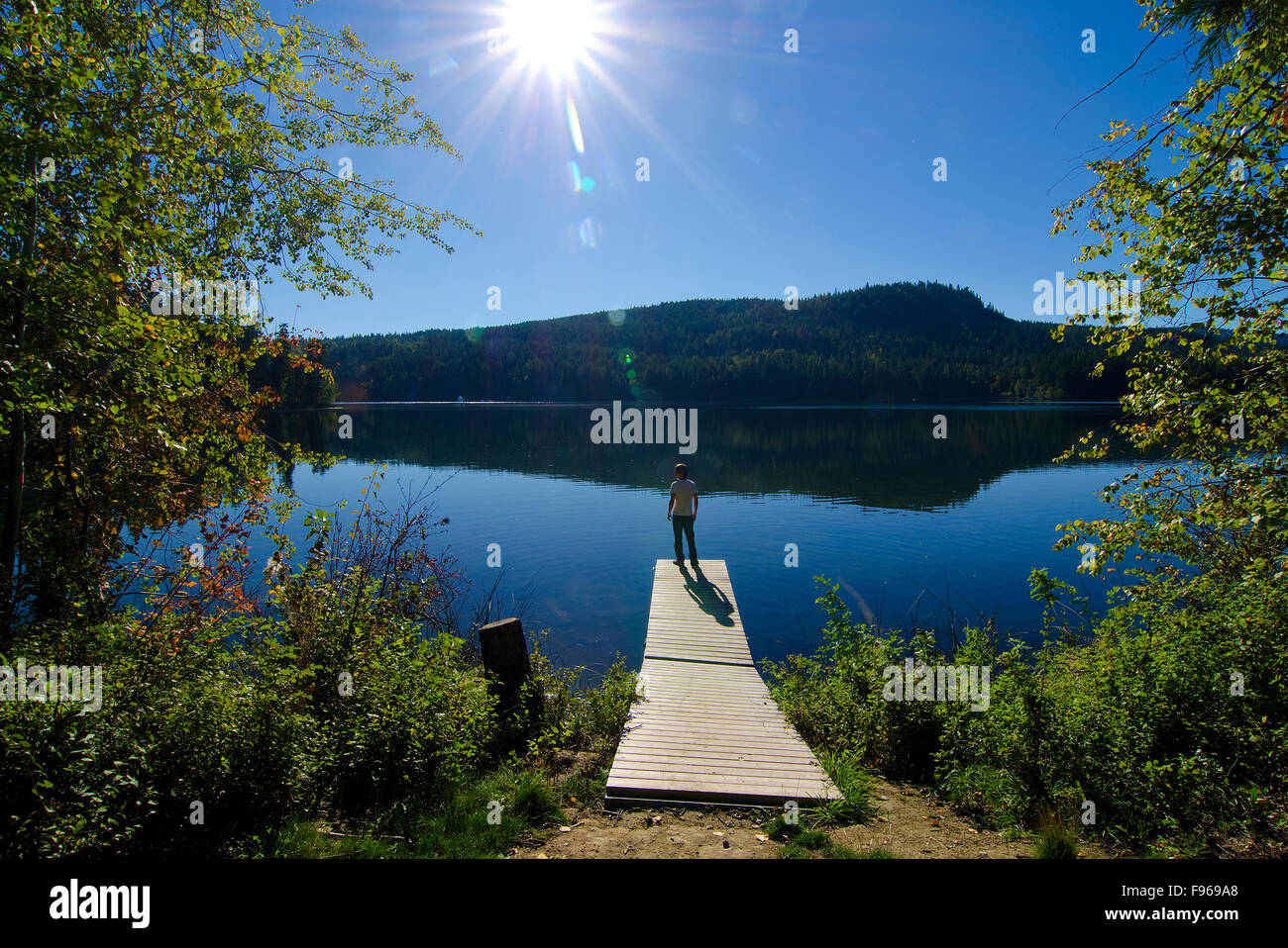 Tourist plonge dans le début de l'automne soleil à Gardom Lake, près de Salmon Arm dans la région de Shuswap de la Colombie-Britannique, Canada. Banque D'Images