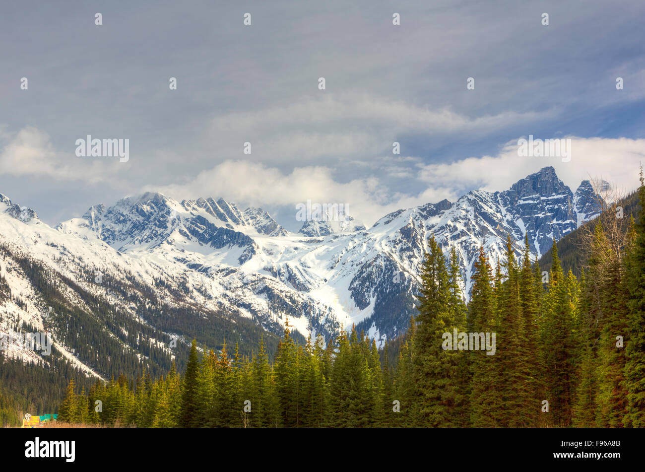 Montagnes couvertes de neige, le Glacier National Park, British Columbia, Canada Banque D'Images