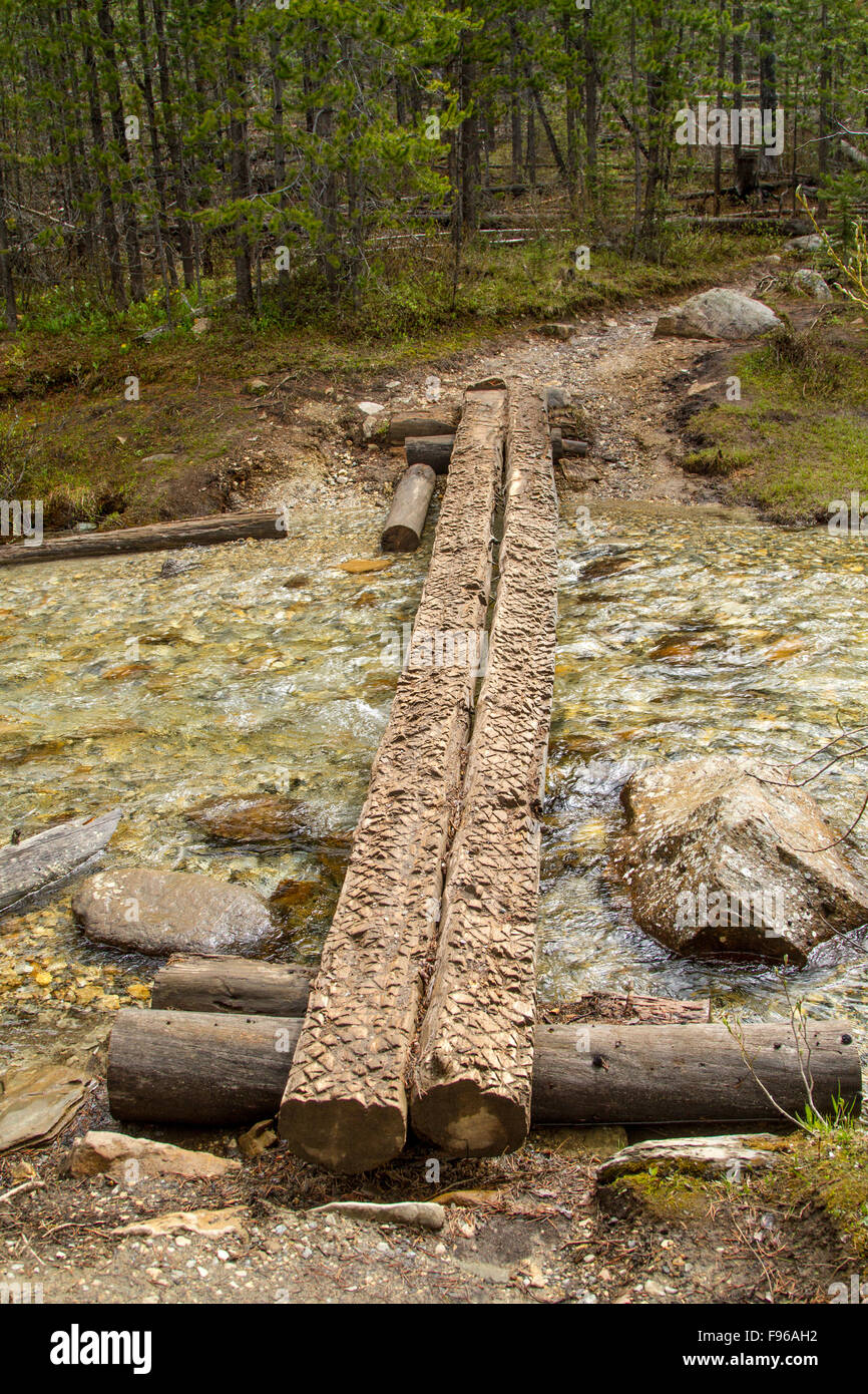 Les troncs des arbres fonctionnant comme pont pied sur le glacier Stanley sentier de randonnée dans le Parc National de Kootenay, Colombie-Britannique, Canada Banque D'Images