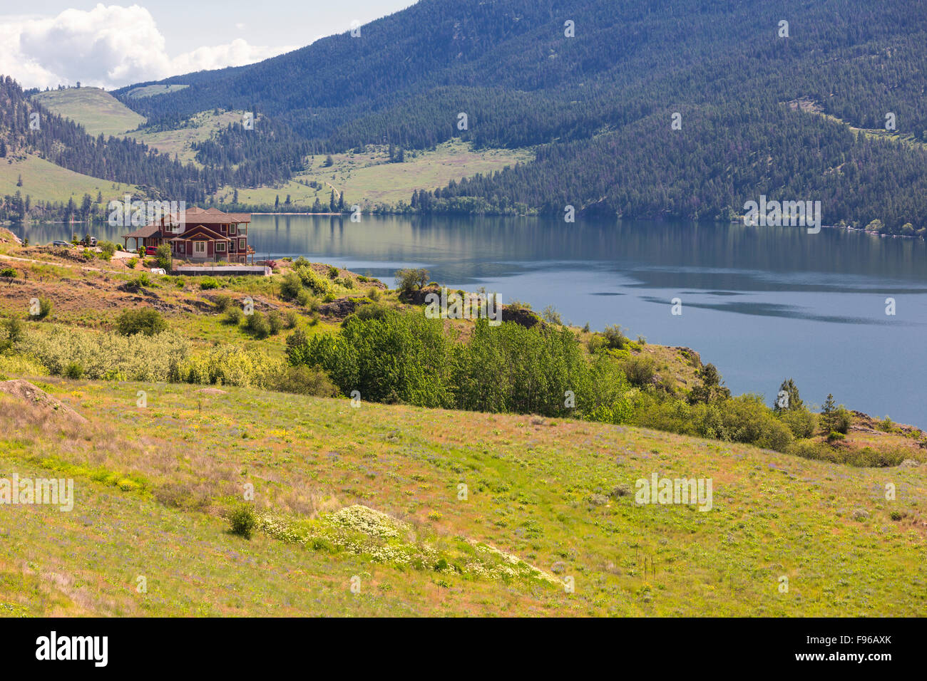 Kalamaika B, nord de l'Okanagan Lake, de l'Okanagan Valley, British Columbia, Canada Banque D'Images