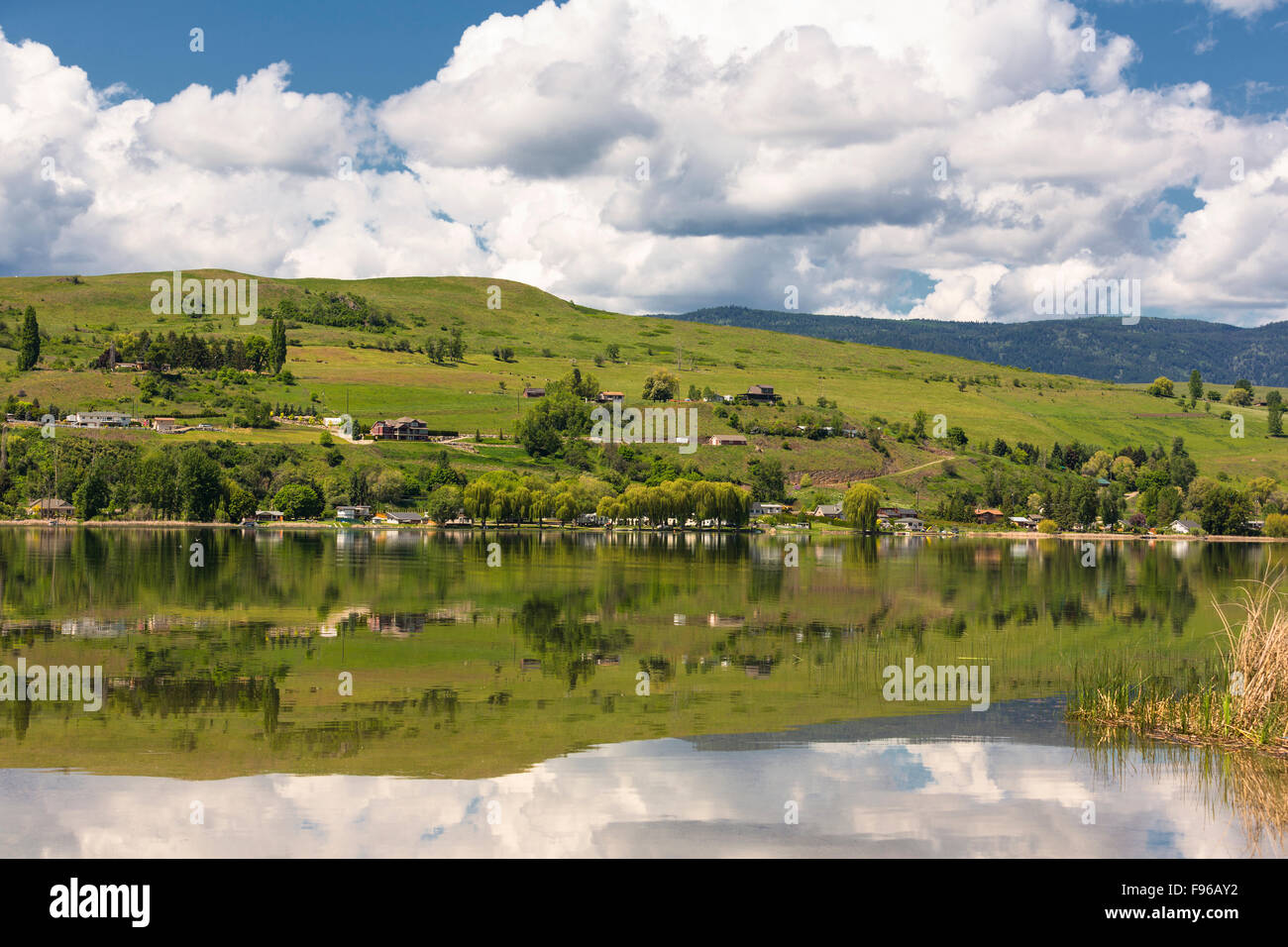Swan Lake, North Okanagan B, de l'Okanagan, Kelowna, Colombie-Britannique, Canada Banque D'Images