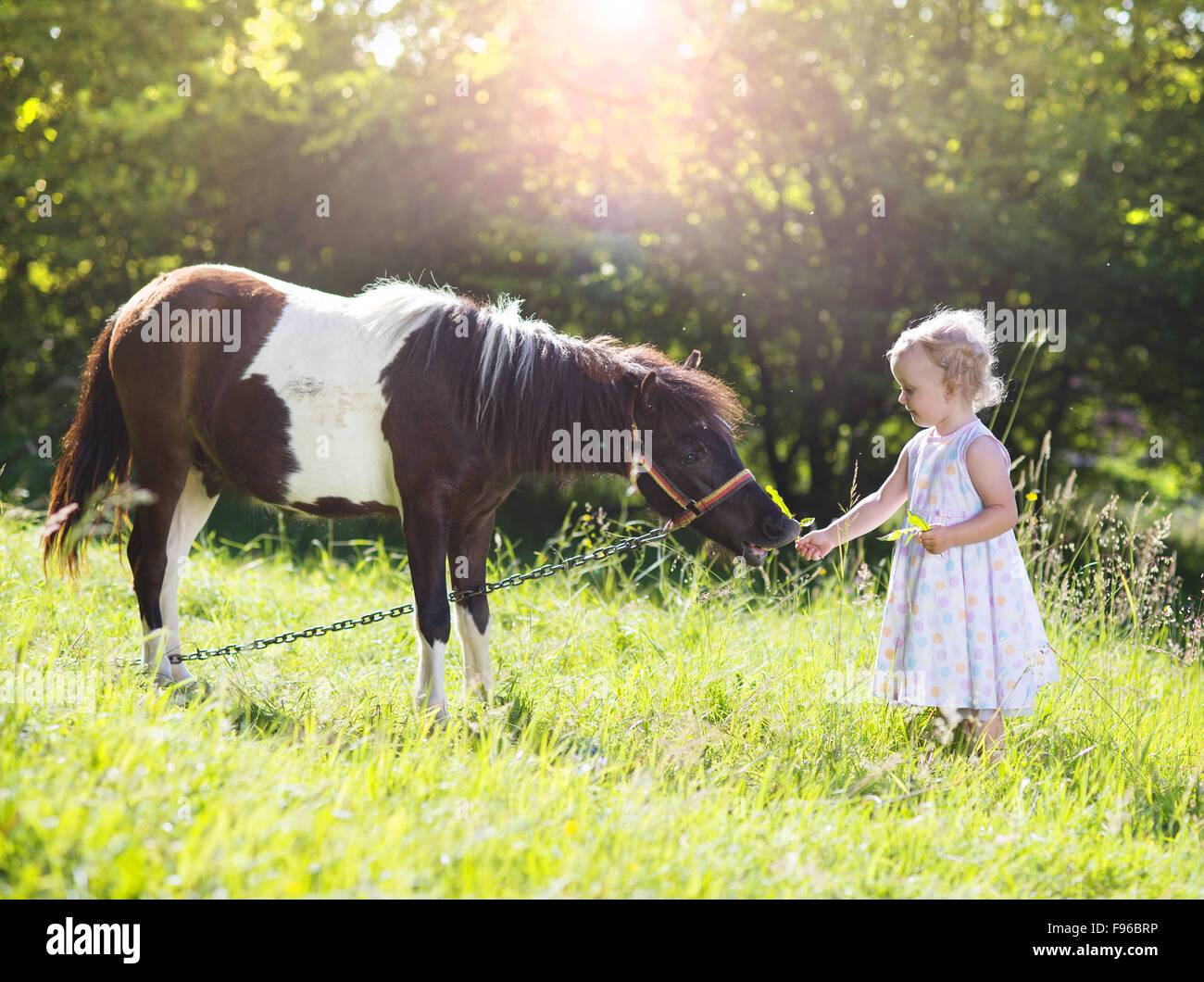 Portrait de jeune fille tlittle s'amusant à l'extérieur, de l'alimentation campagne pony Banque D'Images