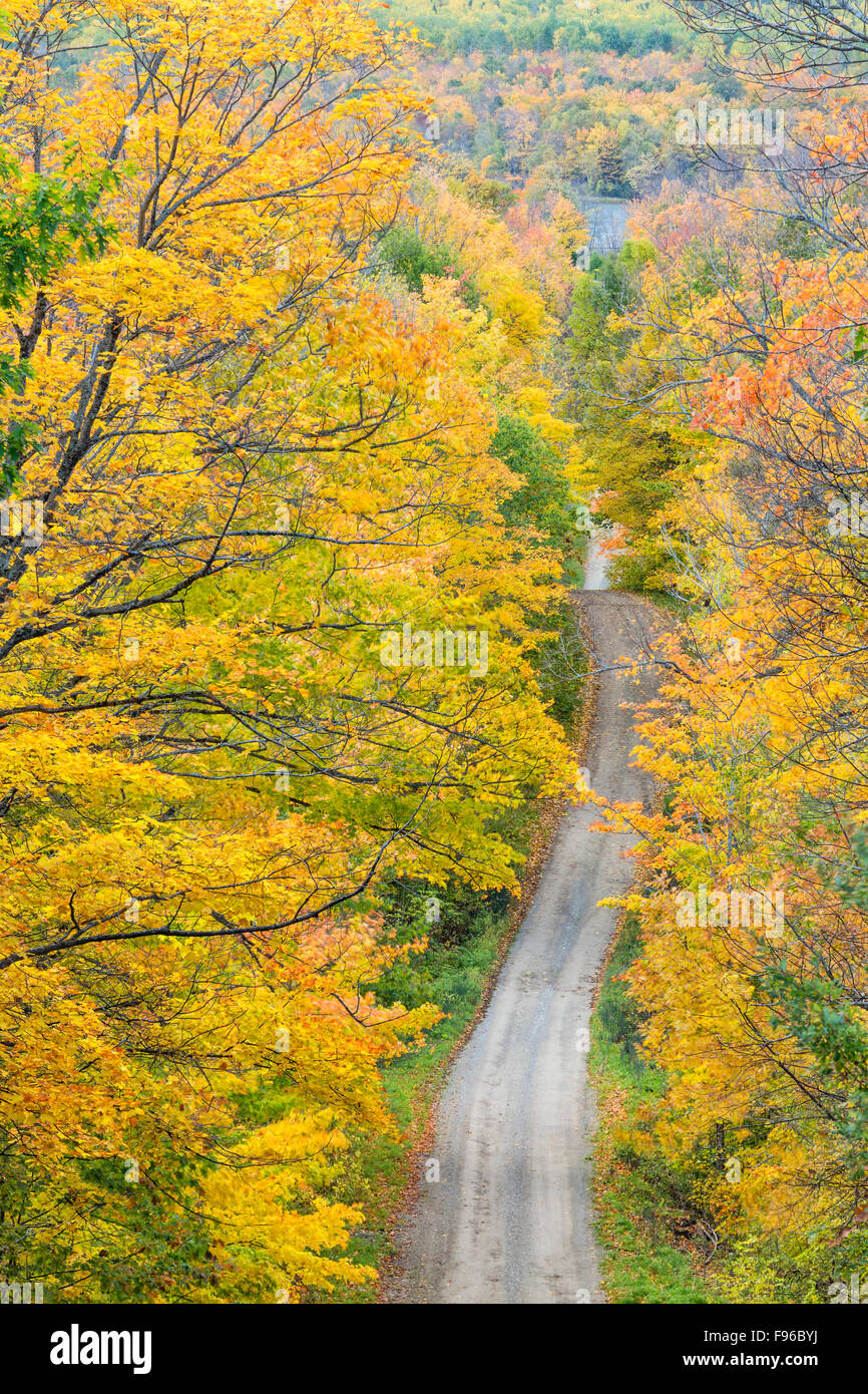 L'automne, Burnett's Side Road, île Manitoulin, Ontario, Canada Banque D'Images