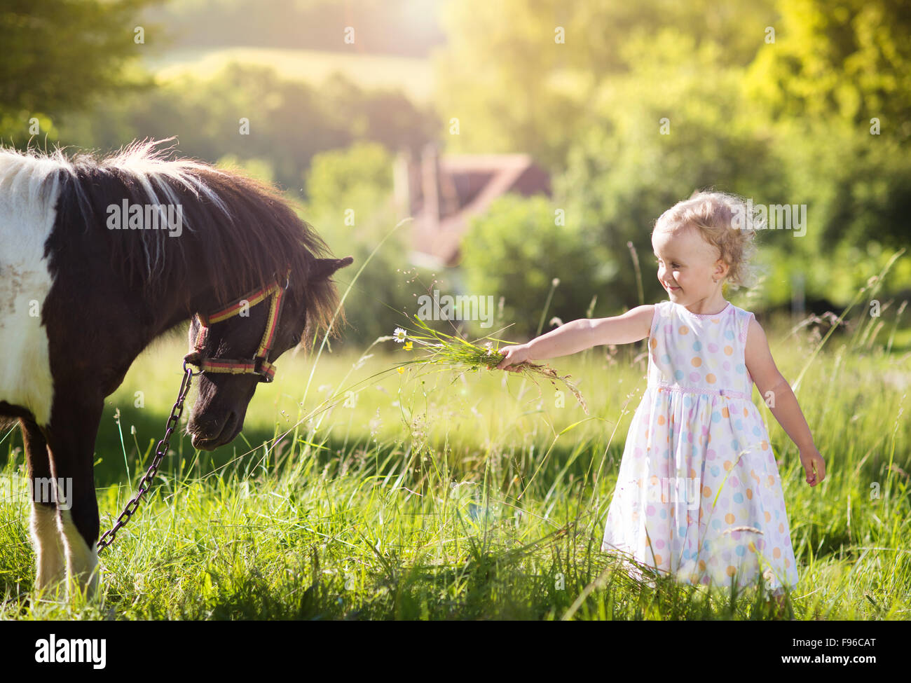 Portrait de jeune fille tlittle s'amusant à l'extérieur, de l'alimentation campagne pony Banque D'Images