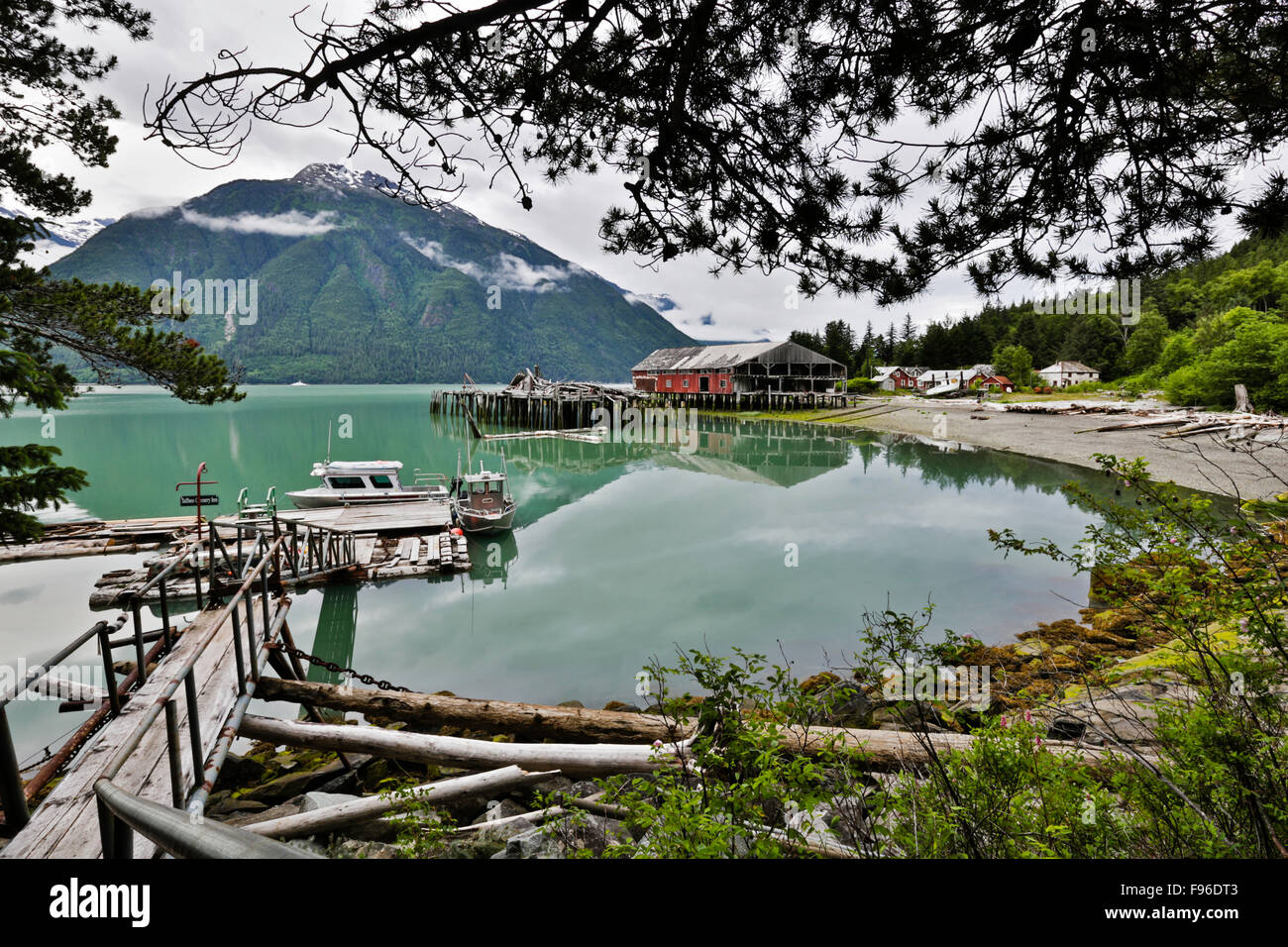 British Columbia, Canada, Bella Coola Valley, North Bentinck Arm, conserverie, Tallheo Banque D'Images