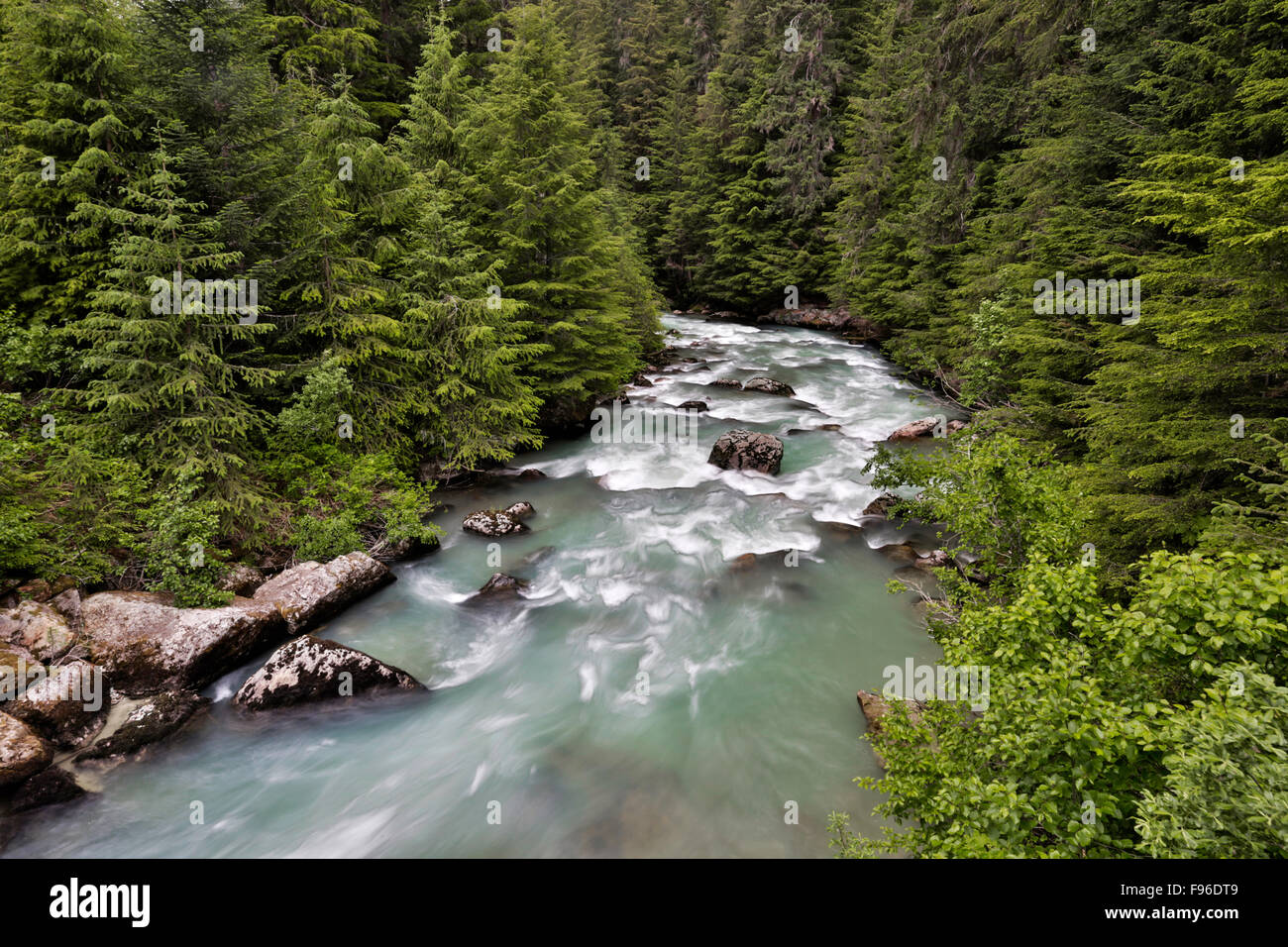 British Columbia, Canada, Bella Coola Valley, forêt tropicale, ruisseau glaciaire, Banque D'Images