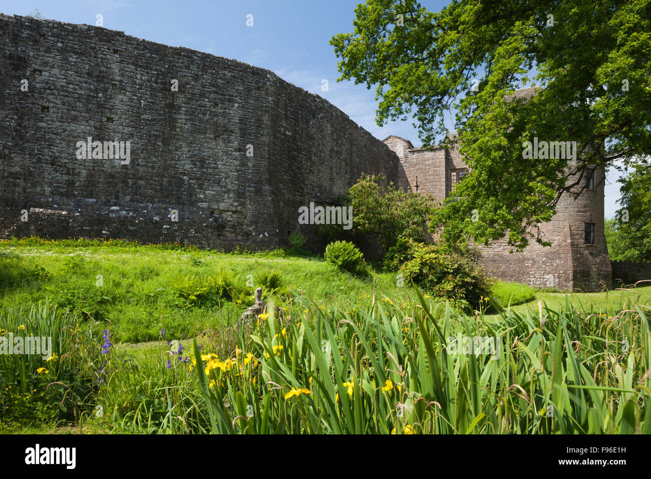 Le mur rideau et gatehouse de St Briavels château vu de l'ancien fossé, forêt de Dean, Gloucestershire, Angleterre. Banque D'Images