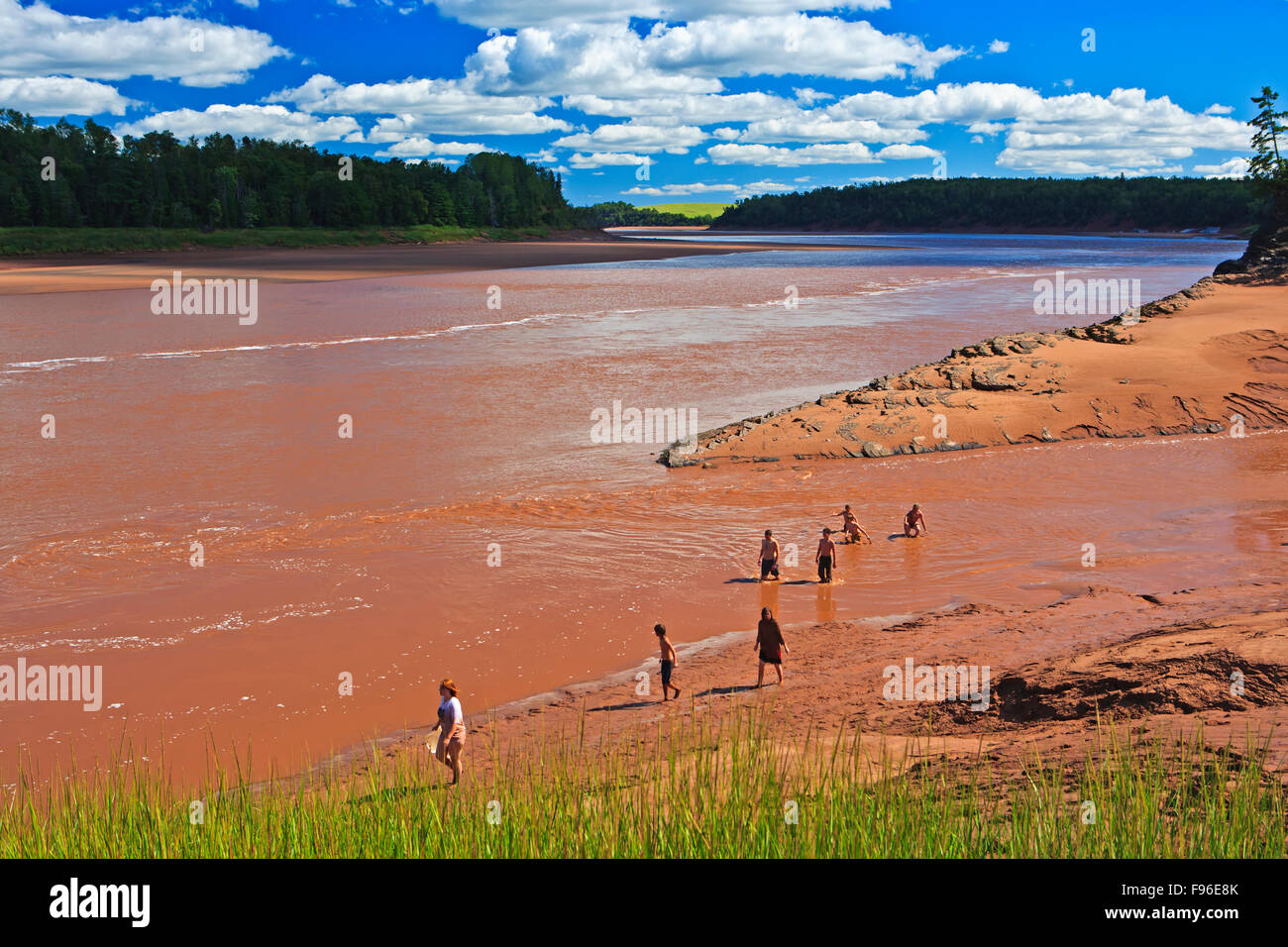 Baignade en famille dans les eaux troubles de la rivière Shubenacadie dans South Maitland, l'autoroute 236, Fundy Shore Glooscap, Ecotour Banque D'Images