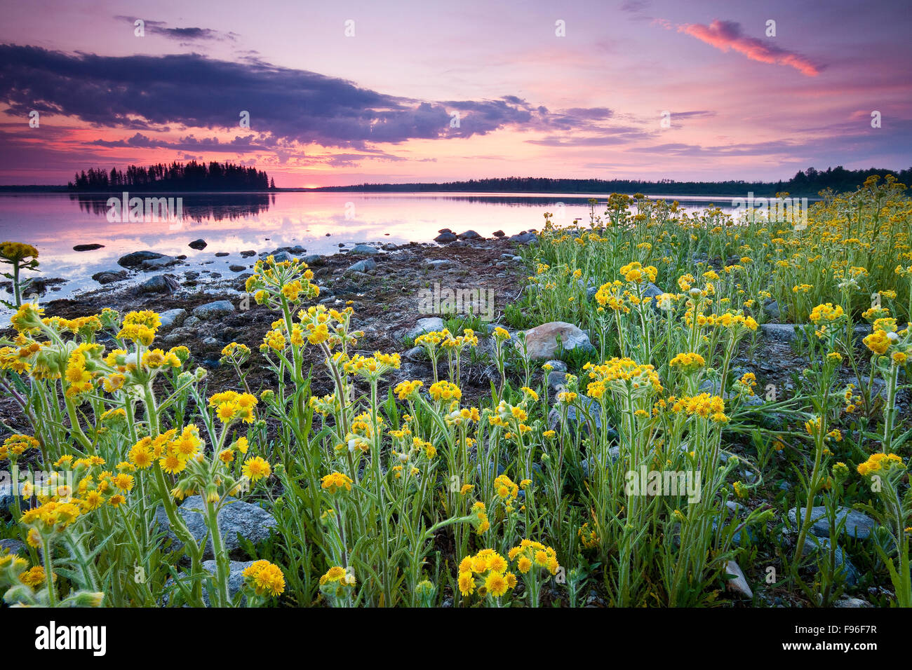 Le Lac Astotin au coucher du soleil le parc national Elk Island, en Alberta, Canada Banque D'Images