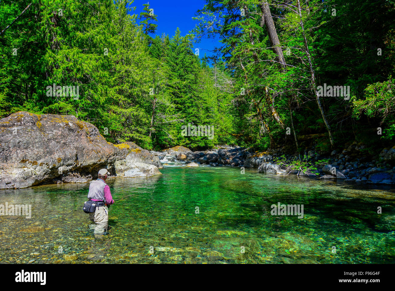 Cayuse River River l'île de Vancouver Banque D'Images
