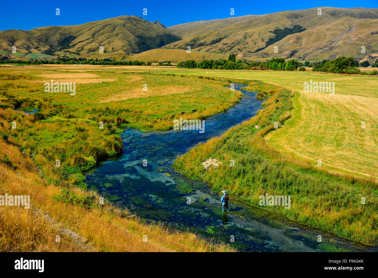 Spring Creek Southland, Nouvelle-Zélande Banque D'Images