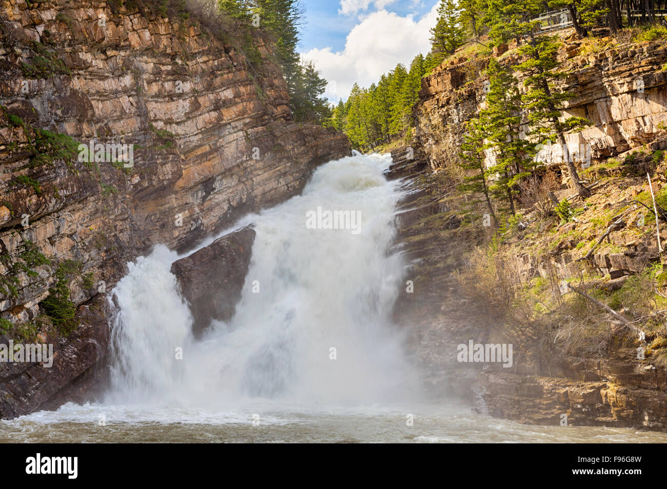 Cameron Falls, Waterton Lakes National Park, Alberta, Canada Banque D'Images